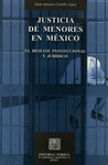 JUSTICIA DE MENORES EN MEXICO EL DESFASE INSTITUCIONAL Y JUR