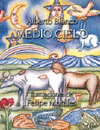 MEDIO CIELO