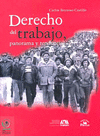 DERECHO DEL TRABAJO PANORAMA Y TENDENCIAS