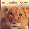 ANIMALES BEBES: DE LAS PRADERAS