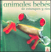 ANIMALES BEBES: DE ESTANQUES Y RIOS