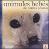 ANIMALES BEBES: DE TIERRAS POLARES