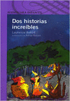 DOS HISTORIAS INCREIBLES CENICIENTO Y LO