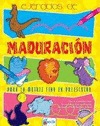 EJERCICIOS DE MADURACION