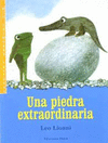 PIEDRA EXTRAORDINARIA UNA